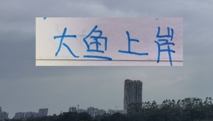 专业体育游戏-北京国安也是外援大结局了！来了德甲中卫，还有澳超冠军边锋